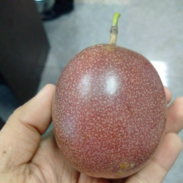 Fresh and frozen Passion Fruit