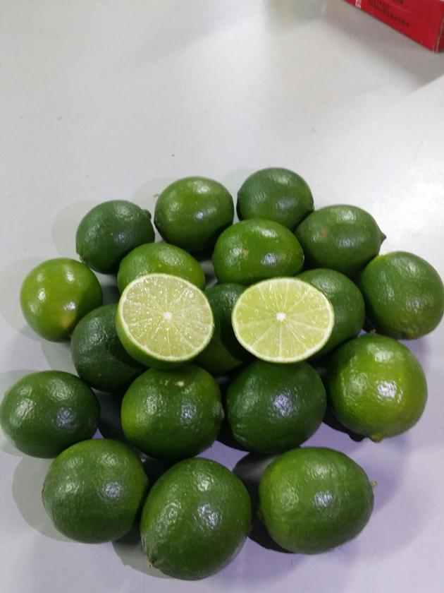 FRESH LEMON LIME - SEED AND SEEDLESS