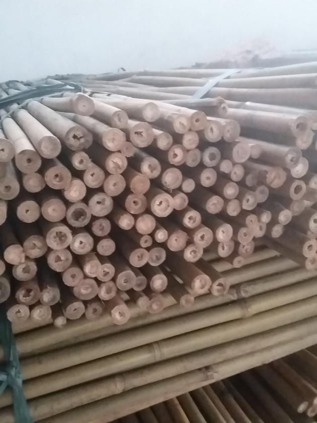 Solid Bamboo Poles Canes Tonkin Moso