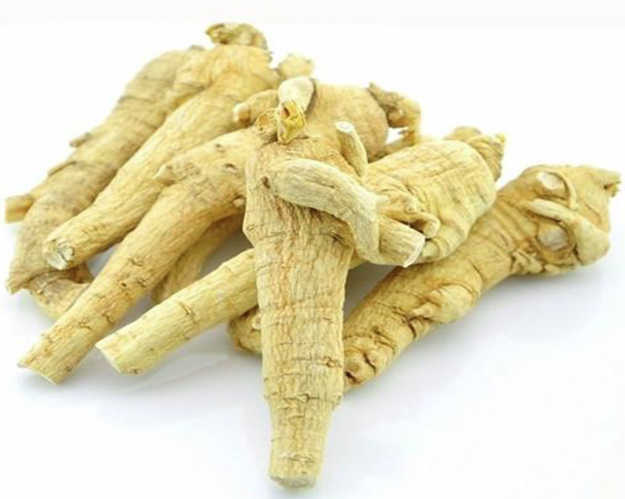 American ginseng extract