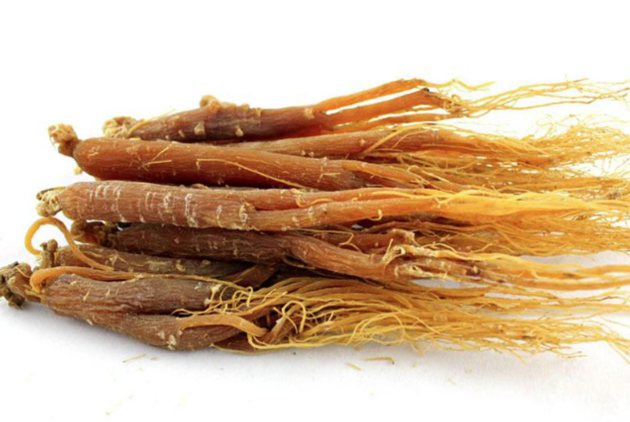 Korean ginseng extract/Red ginseng extract