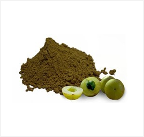 Organic Amla Powder