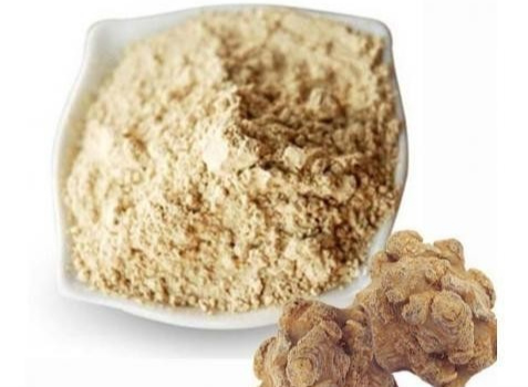 Panax notoginseng extract