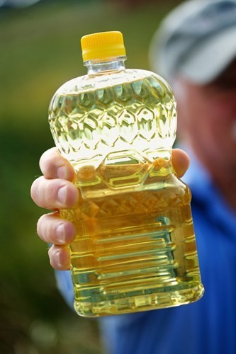 refined canola oil in bulk