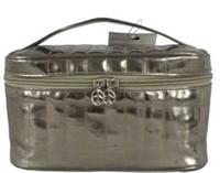Train case