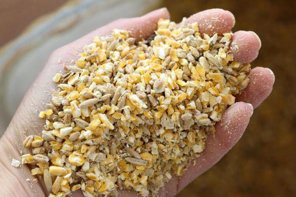  Animals feed barley with cheap price