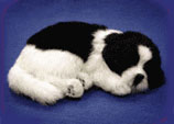 sleeping dog,sleeping cat,Perfect Petzzz,