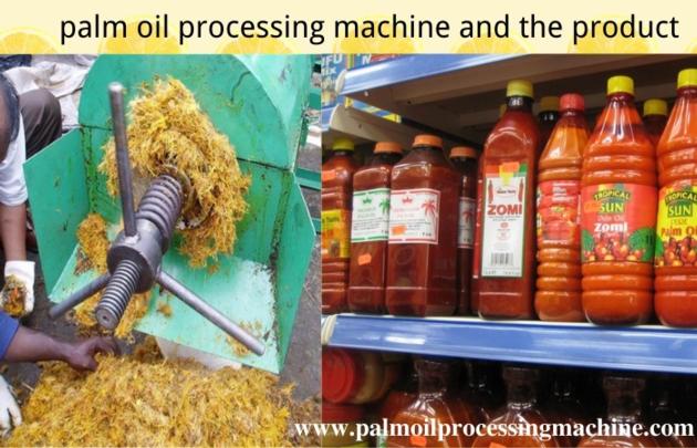 Small Scale Palm Oil Pressing Machine