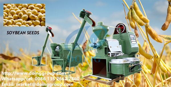 10 600 Tons Per Day Cooking