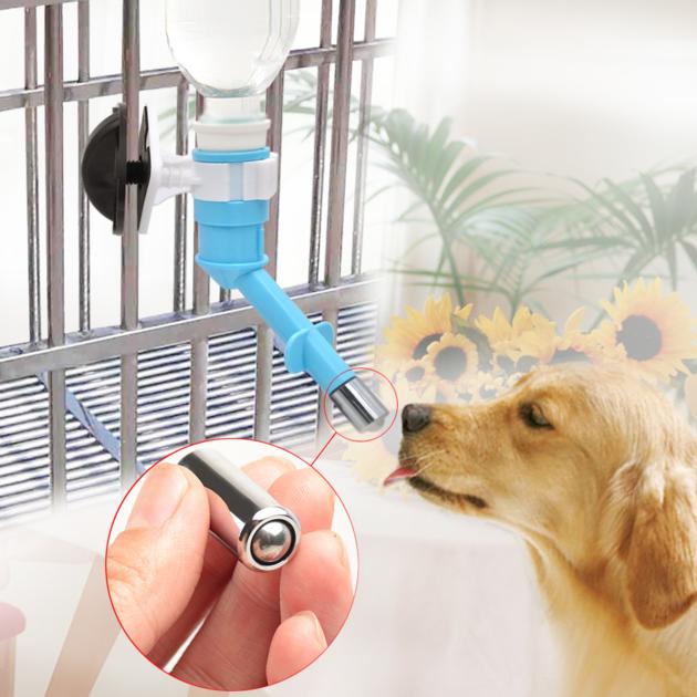 Network Pet Feeder With Water Dispenser