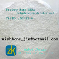 DHEA (Dehydroepiandrosterone) CAS: 53-43-0