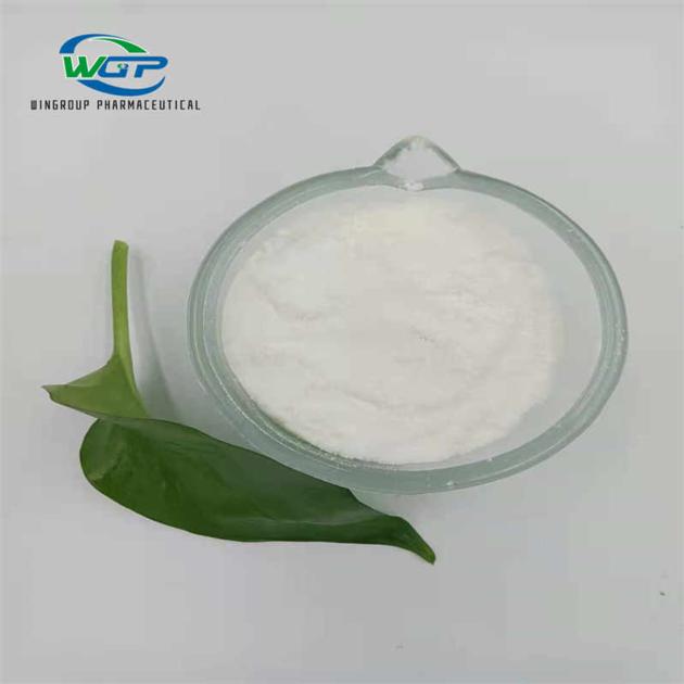 Methylamine Hydrochloride CAS593 51 1 With