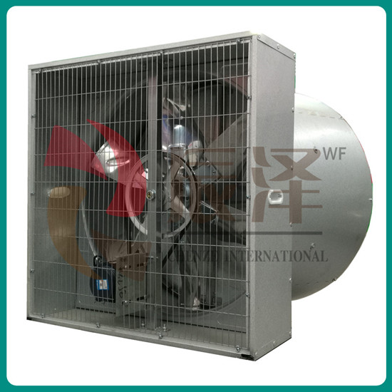 Greenhouse Poultry Farm Industrial Animal Husbandry