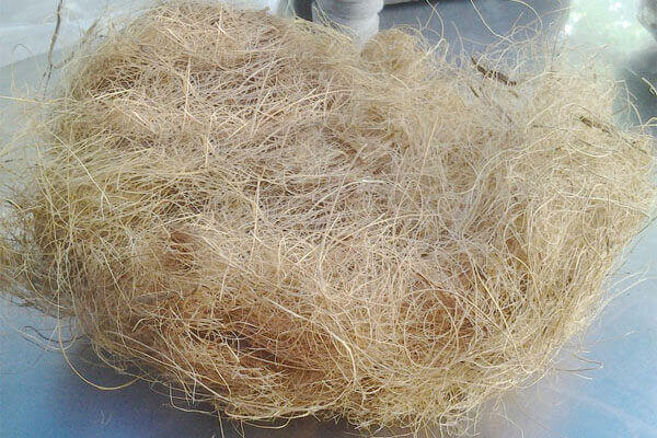 Coconut Fiber