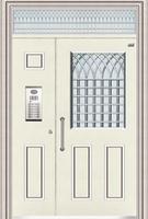galvanized steel door FT-011
