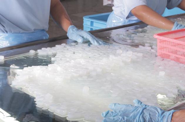 Coconut Jelly