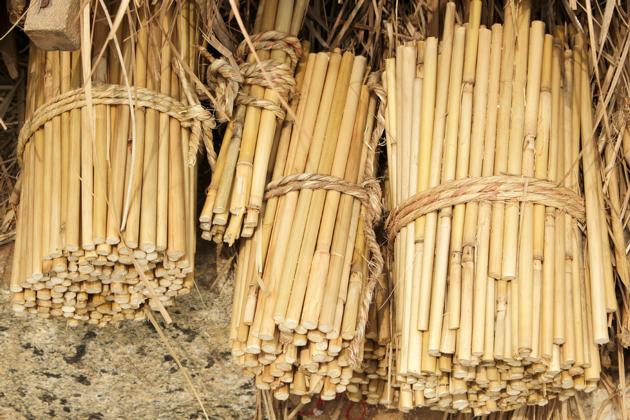 BAMBOO RAW MATERIAL