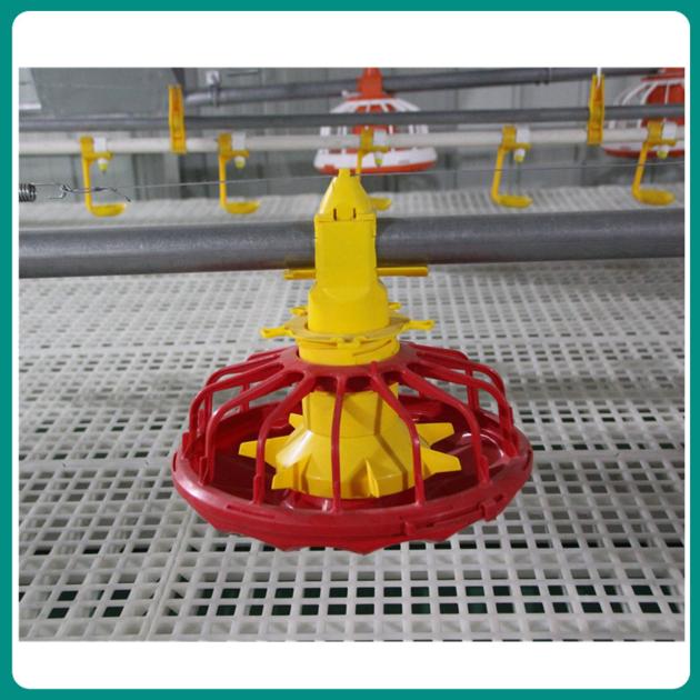 Poultry Floor Rearing Watering And Feeding