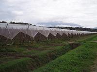 Anti Hail Net-Viewpoint