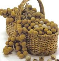Preserve longan from Thailand