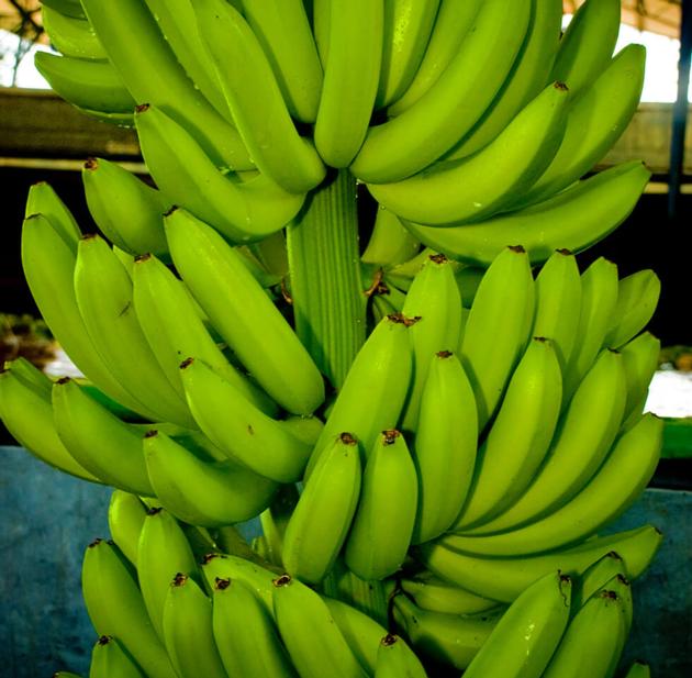 Fresh Banana