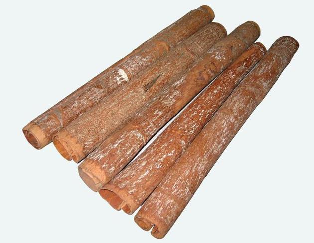 Cinnamon Tube
