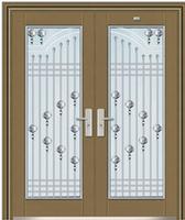 galvanized steel door FT022