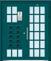 galvanized steel door FT023
