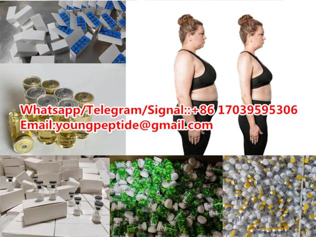 Gyms Sell Well Semaglutide Tirzepatide Retatrutide
