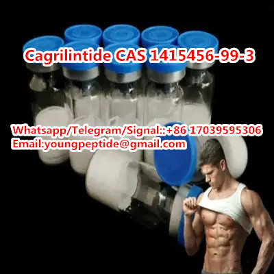 Semaglutide Tirzepatide Retatrutide Liraglutide Cagrilintide AOD9604