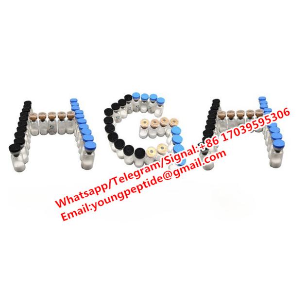 GHRP-2 GHRP-6 MT2 (Melanotan II) MT1 (Melanotan 1) HGH IGF-1 LR3 HCG HMG BPC 157 TB500 Ipamorelin
