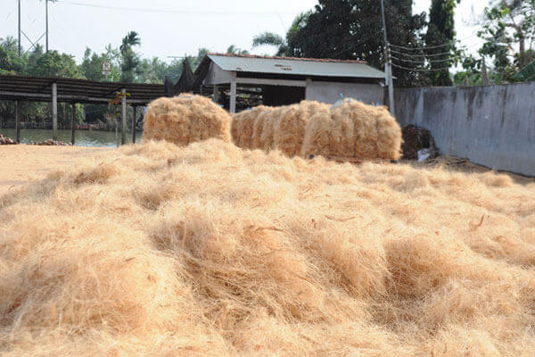 Coconut Fiber