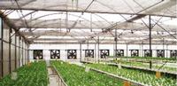 Horticultural Net(Indoor Screen)-Viewpoint