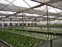 Horticulture Net(Aluminium Shade Net)-Viewpoint