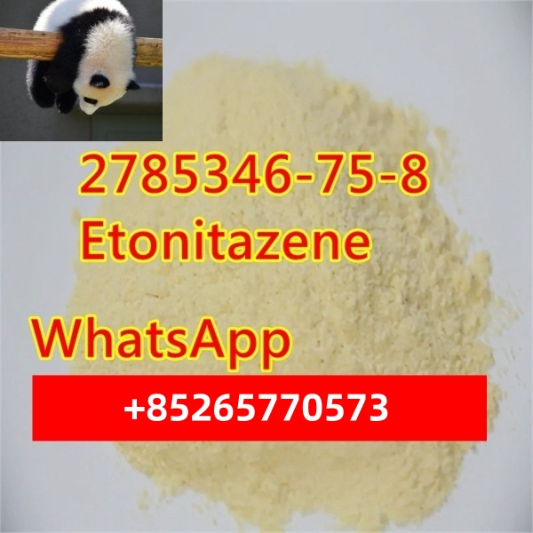 Safety DeliveryXylazine Hydrochloride CAS23076 35 9