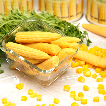 Fresh Tinned and Canned Baby Corn