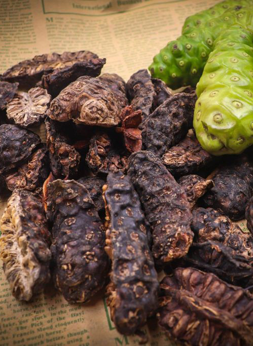 Dried Noni Fruit