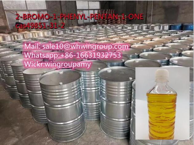 cas49851-31-2 2-bromo-1-phenylpentan-1-one  new pmk oil