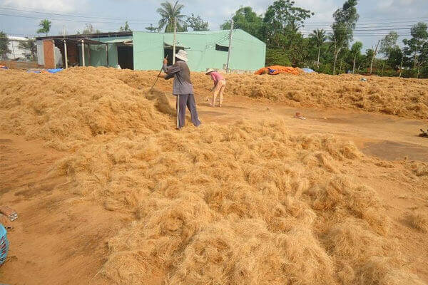 Coconut Fiber