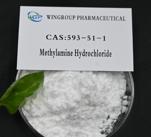 Methylamine hydrochloride CAS593-51-1 With safe delivery +8616631932753
