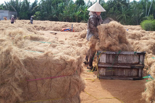 Coconut Fiber