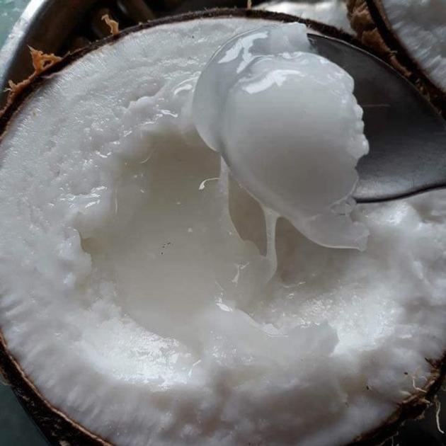 Wax Coconut