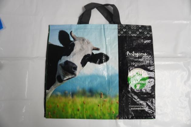 PP Woven Shopping Bags