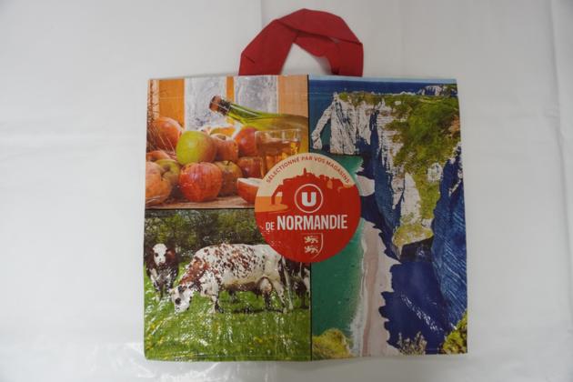 PP Woven Shopping Bags