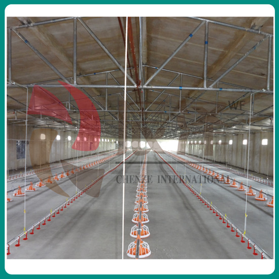 Poultry Floor Rearing Watering And Feeding