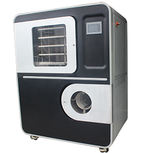 Freeze Dryer Lyophilizer
