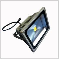 LED Flood Light