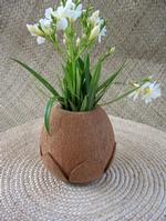 Natural flower vase