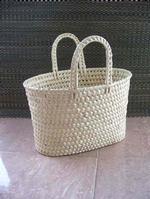 Organic Bag