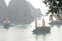 Vietnam guided tours
